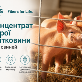 Концентрат сирої клітковини для свиней